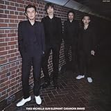 CASANOVA SNAKE - ミッシェル・ガン・エレファント