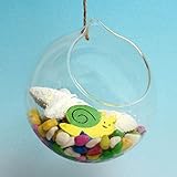 amzmonnsuta ガラスの花瓶 多肉植物ぶら下げボール形状 マイクロ風景エコボトル植物用