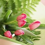 フラワーショップカレラ　チューリップ20本の花束 (おまかせ)