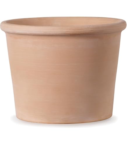 Amazon | 植木鉢 テラコッタ E-30 3SET(L/M/S) | 鉢