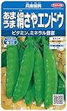 サカタのタネ 実咲野菜7274 兵庫絹莢 あまうま絹さやエンドウ 10袋セット