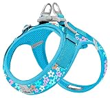 cocomall 喉に優しい犬ハーネス 2023最新 TRUE LOVE日本授権店 犬用ハーネス 犬用胴輪 ドッグ ペット用品 ハーネスリード 3M反射材料 訓練 ナイロン製 超型犬、小型犬、中型犬に向け 通気性 調節可能 夏に対応 (XXS, 色柄スキブルー)
