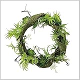 スパイス DECOR IMITAION VINE &FERN XHDY5050