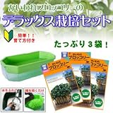 ブロッコリースプラウト 栽培セット 【 種3袋と栽培容器付 】