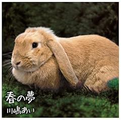 ��Ƃڂ� / �쓈����