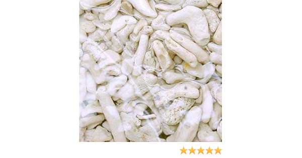 Amazon 海水魚 ばくとサンド 立上げ簡単サンド ｌｌ １リットル バクテリア付き ライブサンド 航空便不可 Charm チャーム 底床 通販