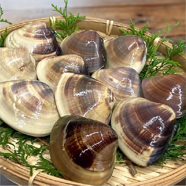 九十九里産　活中はまぐり　8キロ Amazon.co.jp: 九十九里産活けはまぐり 約1kg～約8kg/10～110個