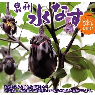 Amazon.co.jp: 大阪泉州特産 水茄子 水なす 20個 約3kg 贈答向け品質