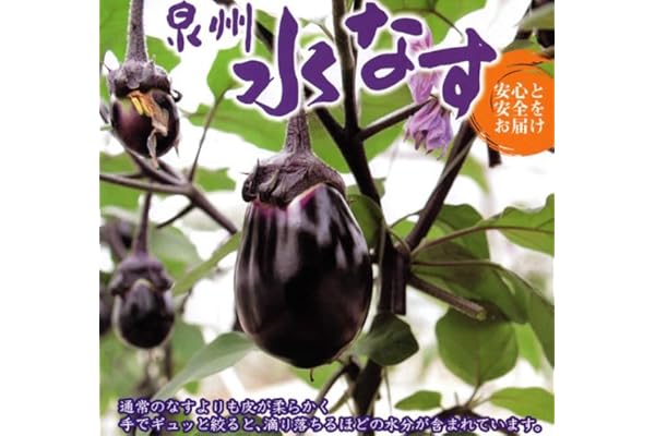 訳あり 大阪泉州特産 水茄子 水なす 大玉15個 約3kg ご家庭用品質 産地箱入 はちまるはち なす 通販 Amazon
