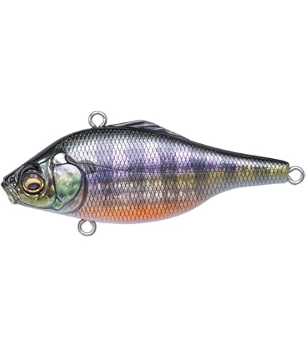 Amazon.co.jp: メガバス(Megabass) ルアー VIBRATION-X DYNA