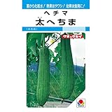 タキイ種苗　ヘチマ　60粒