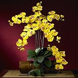 ほぼ自然ホーム室内装飾テーブルトップFancy胡蝶蘭シルクOrchid Flower with Leaves 6 Stems )ゴールド