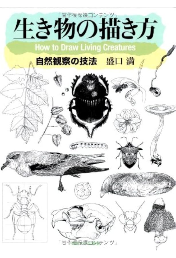 生き物の描き方 自然観察の技法 満 盛口 本 通販 Amazon