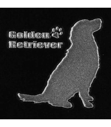 美品 hayu ゴールデンレトリバー プレート Black vvmt0007-4-01.jpg