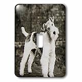 Scenes from the Pastマジックランタン – ヴィンテージワイヤヘア・フォックス・テリア犬Circa 1900エドワードEra – 照明スイッチカバー – シングルトグルスイッチ( L