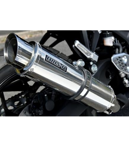 Amazon | Realize (リアライズ) ヤマハ MT-25 (JBK-RG10J/G401E