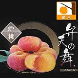 モモ（桃）：弁天の舞（べんてんのまい）4.5～5号ポット