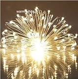 イルミネーションライト led 屋外 usb充電 カーテン クリスマス 「WOLFTEETH」飾りライト 10M 100LED ストリングライト フェアリーライト アウトドア 室内 室外 リモコン付き