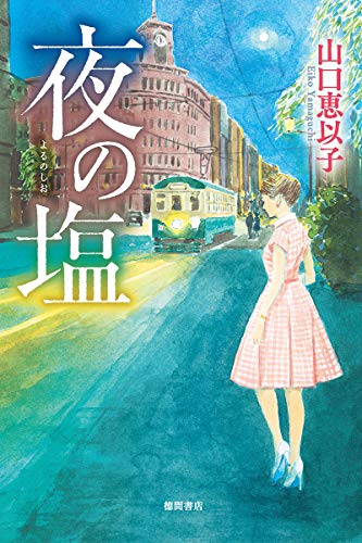 夜の塩 (文芸書) 夜の塩 (文芸書)