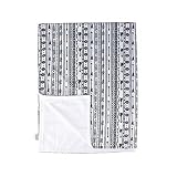 Towin Baby Arrow Minky Plush Receiving Blanket, Aztec Arrow 30x40 by TOWIN BABY