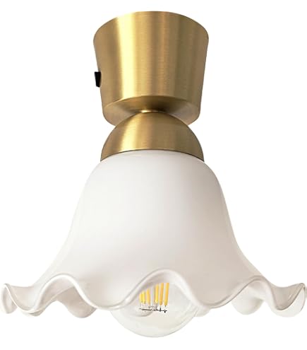 Amazon.co.jp : Hanaecry シーリングライト 小型 乳白ガラス フリル