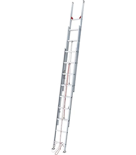 Amazon | 長谷川工業(Hasegawa) 2連はしご HA2-2.0-44 (4.49m) (17991