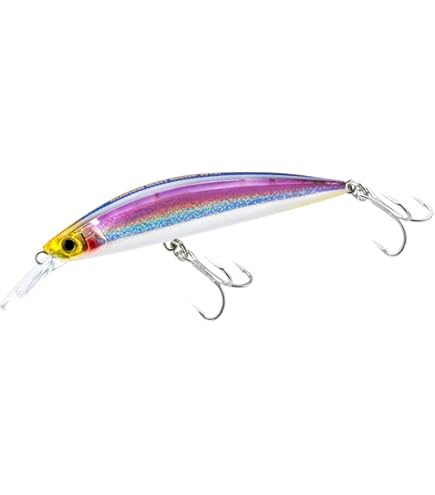 Amazon.co.jp: ダイワ SLシャイナーZセットUP 125S-DR 青物スペシャル