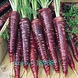 300pcs carrot seeds, 9 colours to choose, bonsai organic vegetable fruit seeds ,sweet and healthy,pl