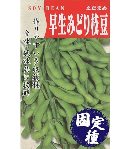 Amazon.co.jp: タキイ種苗 丹波黒大粒大豆 種 種子 タネ 黒大豆 枝豆