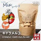 キャラメル３種 1袋(140g) 倉敷おからクッキー たんぱく質・食物繊維たっぷりの国産大豆生おから キャラメルチョコチップ・ストロベリーチョコチップ・プレーンの３種ミックス