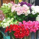 フラワーマルシェ 切花 福袋 Mサイズ 切花 風 ( 大人 系 )