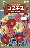 コスモス 初恋ミックス コスモス種子