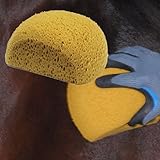 Intrepid International Half Moon Bath Sponge [並行輸入品]