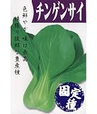 ノーブランド品 チンゲンサイの種【固定種】 緑 小袋(10ml) outdoor
