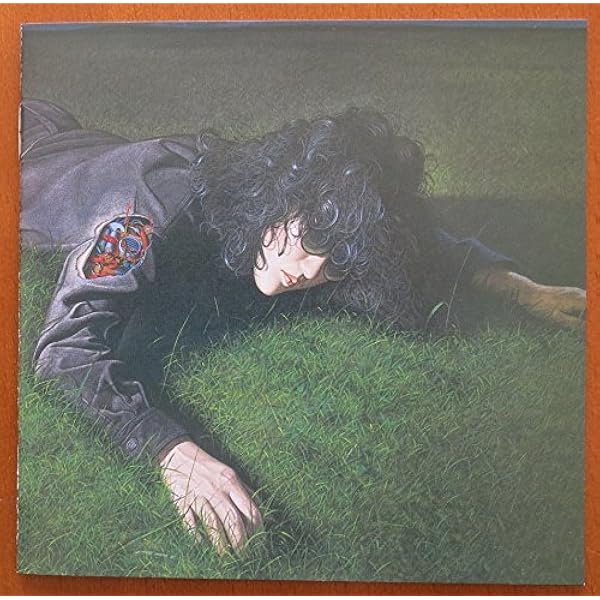 森田童子 狼少年 wolf boy LPレコード(中古美品) 森田童子 狼少年 wolf boy LPレコード(中古美品)