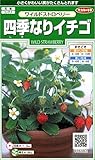 【種子】四季なりイチゴ　サカタのタネ