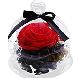 クリエイティブEndless Preserved Rosesフラワーinガラスカバーロマンチックギフト250 g ベージュ