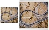 【Amazon.co.jp限定】Anniversary [初回限定盤] - SPECIAL OTHERS [CD + DVD] (Amazon.co.jp限定特典 : メガジャケ〜 付)
