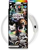 PLATZ PET SUPPLIES & FUN セーフティカラー 45 スペクトラム 犬用お散歩ライト 超小型・小型犬推奨