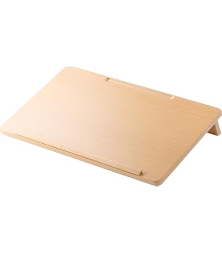 Amazon.co.jp: バランスラボ イージーライティングボード Medium