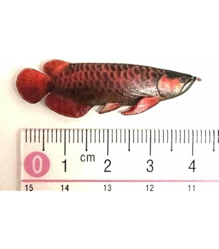 Amazon | EUHELOPA アジアアロワナ フィギュア 龍魚 淡水魚 観賞魚