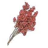 大地農園 天然素材 ペッパーベリー・バンチ(50g入り) ピンク DO21160-100