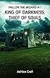 Fallon the Wizard #1: King of Darkness, Thief of Souls (English Edition)