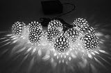 rising・sun ソーラー LED 充電 式 玉 型 イルミネーション 3M　10球 防滴 防水 ガーデン ライト (シルバー)