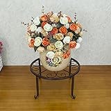 Plant shelf アイロンフラワーラック、リビングルームフラワーポットラックバルコニー盆栽フレームプラントディスプレイスタンド Flower racks ( 色 : C , サイズ さいず : 