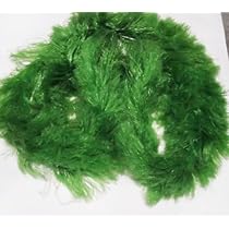 Amazon | 人工産卵藻（シザロンモールコード） 沈下性 1.5m 1本