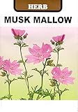 ムスクマロウ 藤田種子 ハーブ 0.2ml