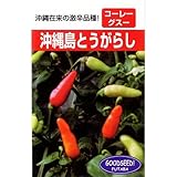 唐辛子 種 【 沖縄島とうがらし 】 種子 小袋（約2ml）