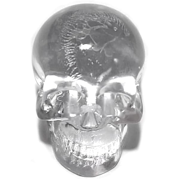 Amazon.co.jp: スカル タイガーアイ 虎目石 骸骨 彫刻 ドクロ 天然石