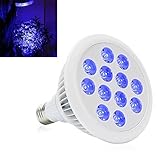 Derlights 36W 青色光 LED電球 植物育成 サンプランター 水耕栽培ランプ 室内用 口金E26 LED 植物育成用ランプ　プラントライト 園芸 (一つ ひとつ)